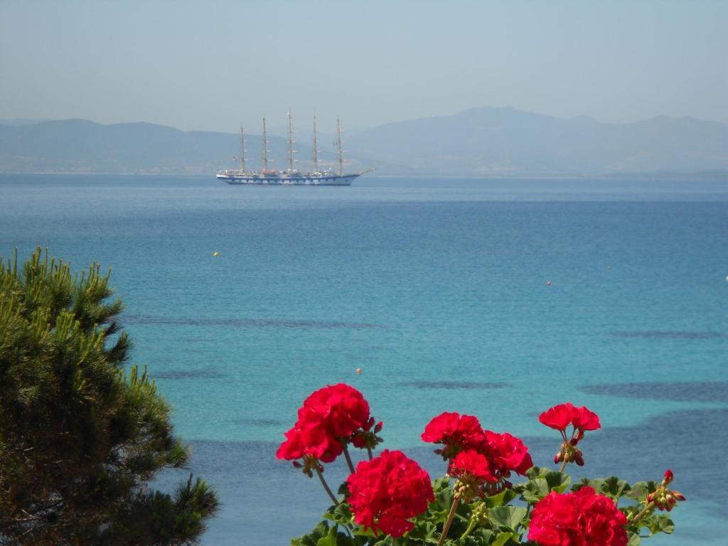 Hotel Tabby Golfo Aranci Room photo