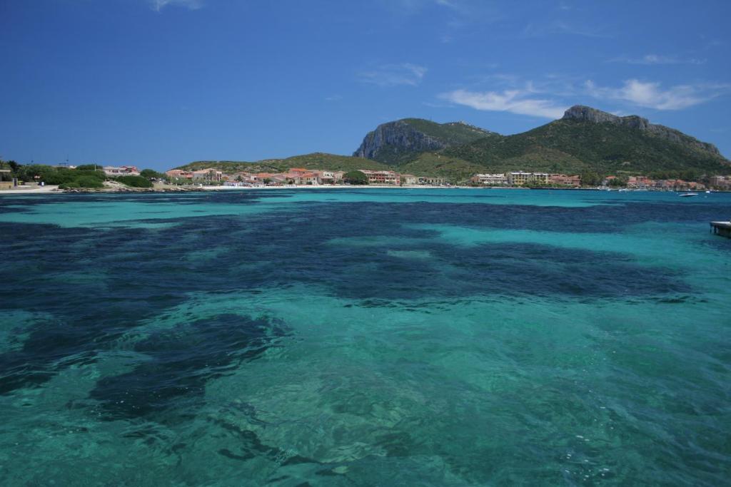 Hotel Tabby Golfo Aranci Exterior photo